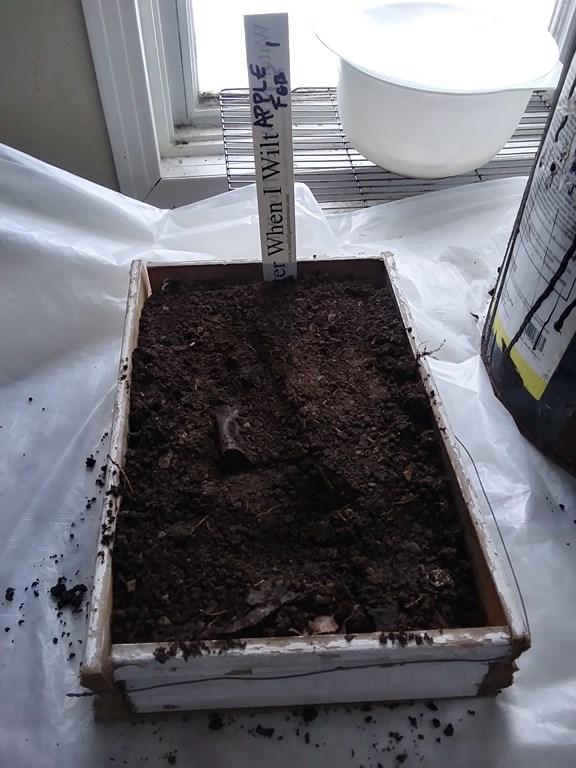 Christopher Greaves 2023_02_20230201_092329_HDR.jpg